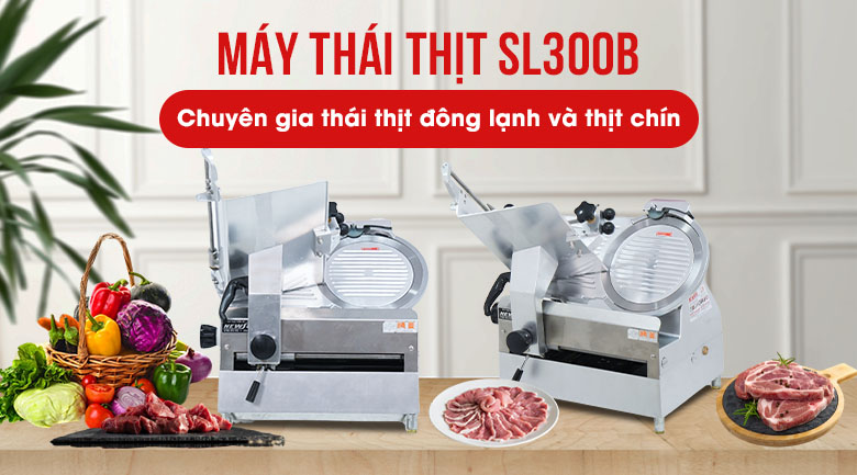 Máy thái thịt đông lạnh và thịt chín SL300B NEWSUN