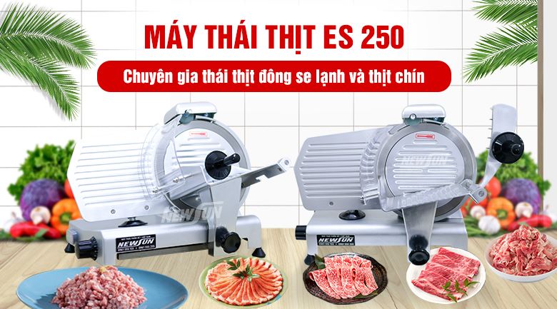 Máy thái thịt đông lạnh ES 250 chính hãng NEWSUN