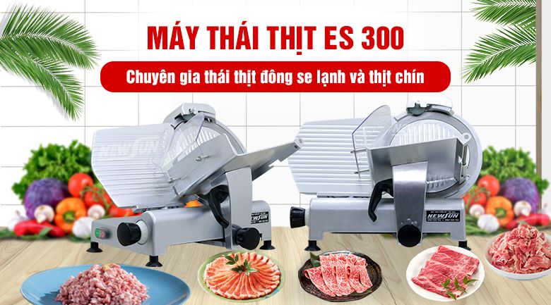 Máy thái thịt đông lạnh ES 300 chính hãng NEWSUN