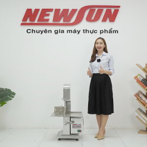 nv newsun 1 600x400 1